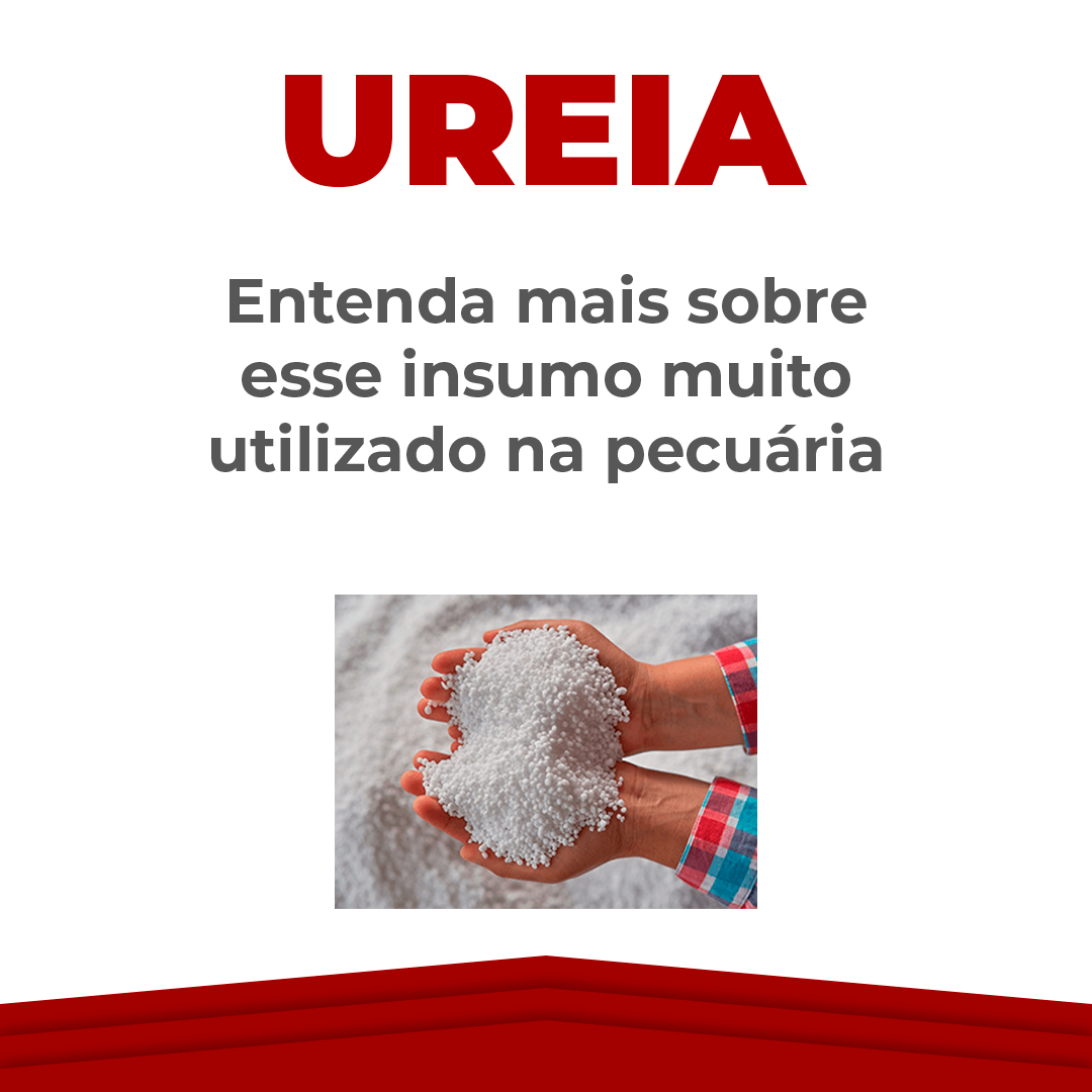 imagem_do_post_Ureia - Entenda mais sobre esse insumo na pecuária.