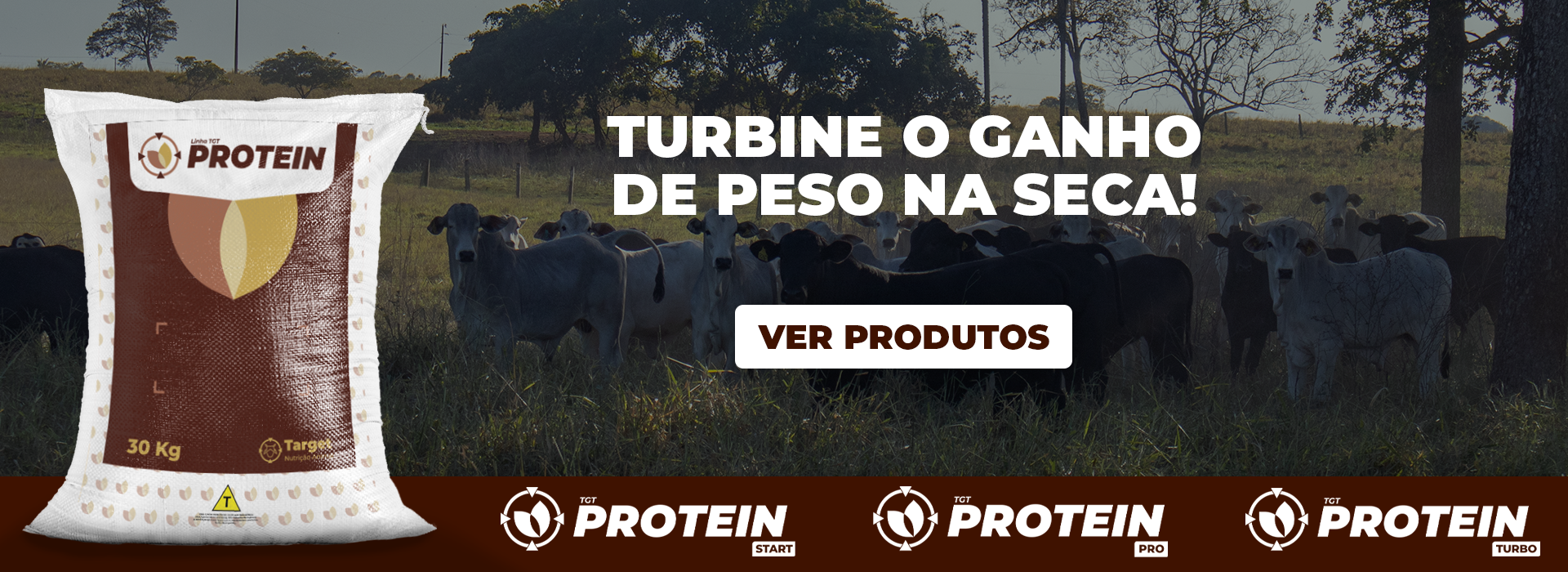 banner_da_linha_protein