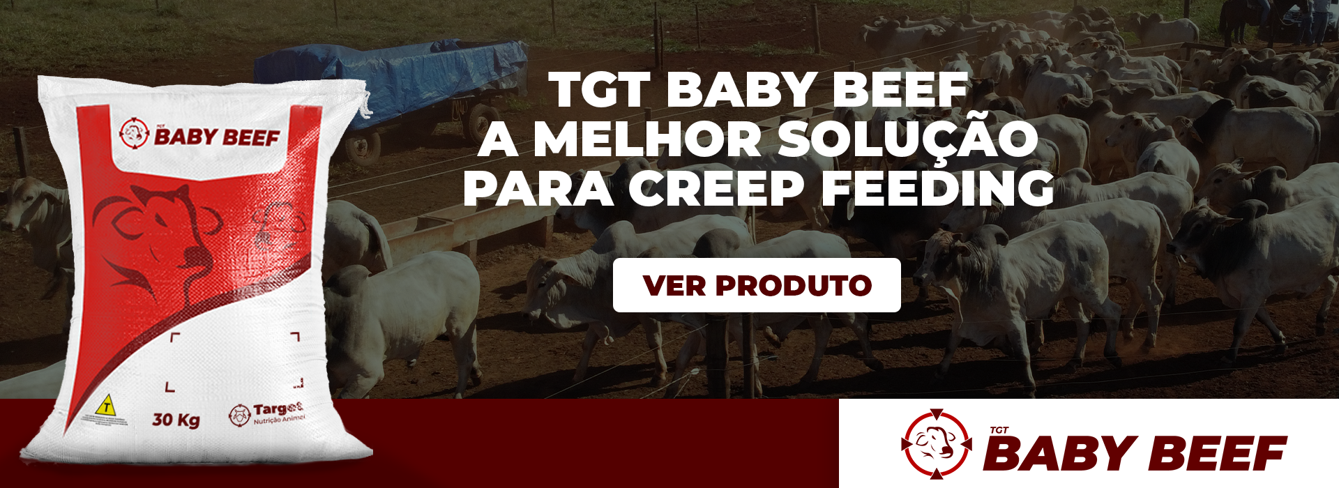 banner_da_linha_tgtbabybeef