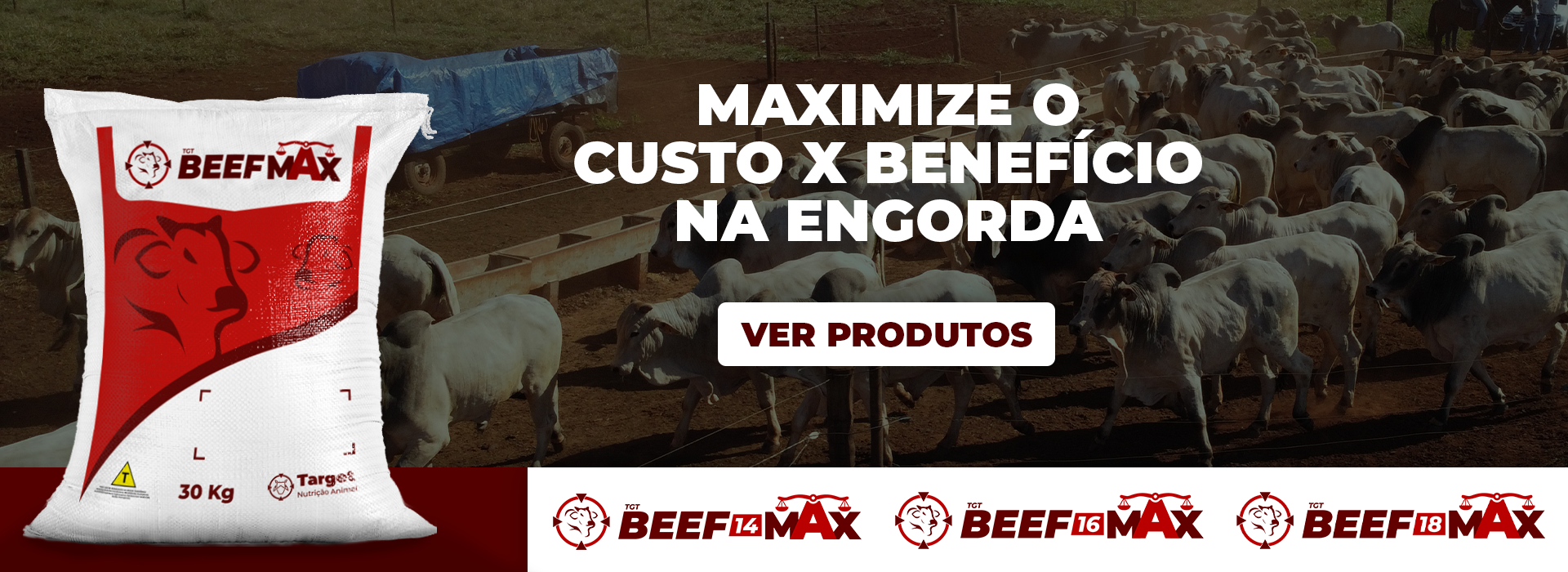 banner_da_linha_tgtbeefmax