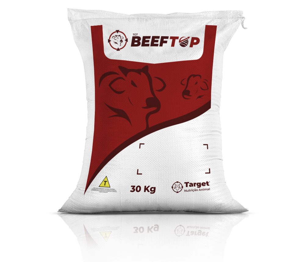 sacaria_do_produtotgtbeef18top